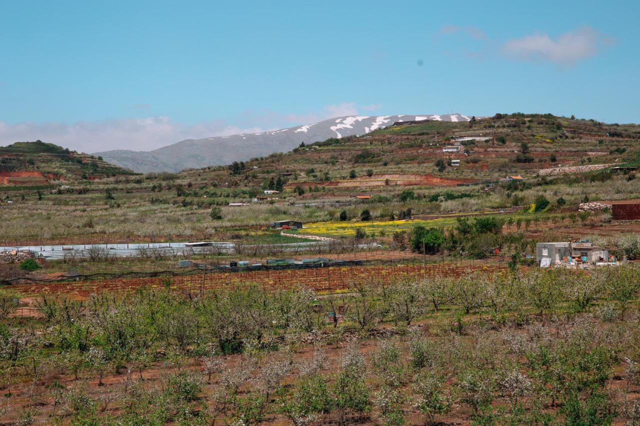 Grand Golan Villa Buq'ata Exterior photo
